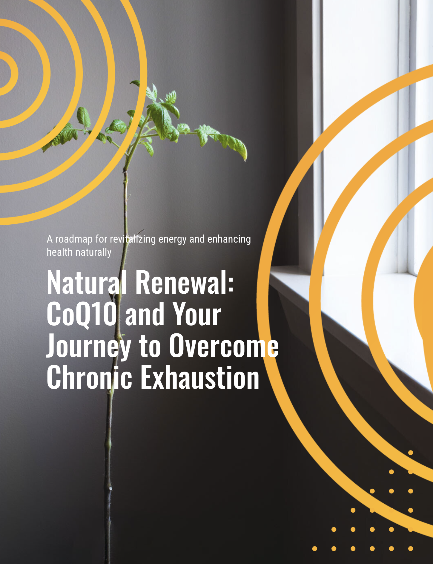 Understanding Chronic Exhaustion E-Book