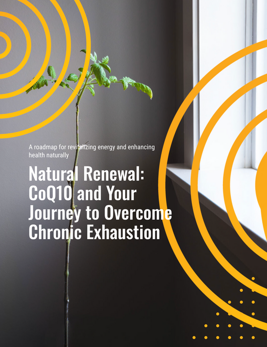 Understanding Chronic Exhaustion E-Book